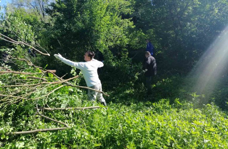 Настављена акција уређења обала Врбање