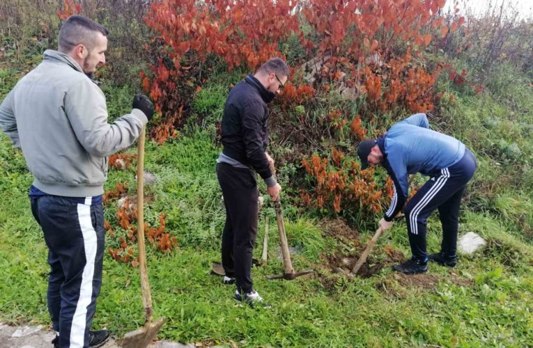 Апел становништву да чува тек засађене саднице