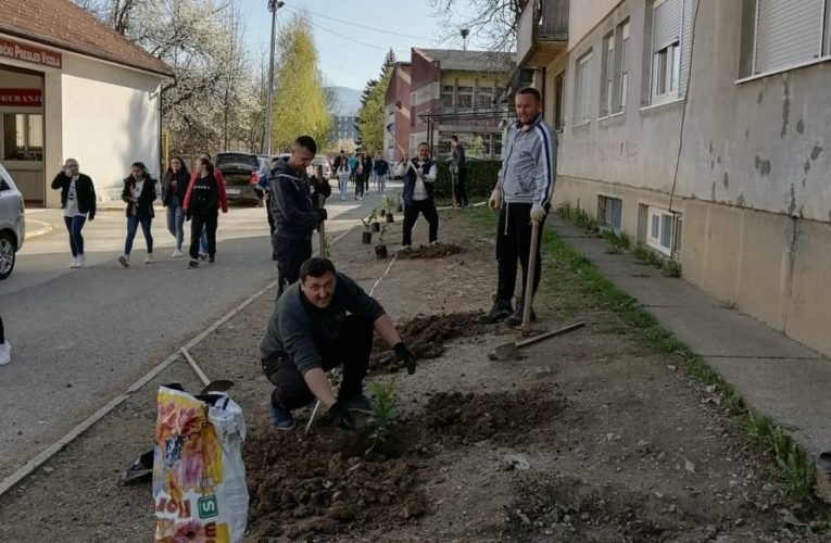 Посађене нове саднице за љепши Котор Варош