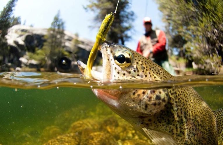 У недељу општинско такмичење у дисциплини ,,Fly fishing“