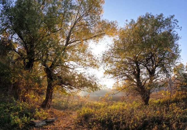 Данас топло, увече јаче наоблачење са сјеверозапада