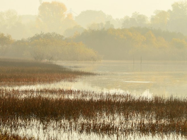 Топло и сунчано, максимална температура од 16 до 21 степен