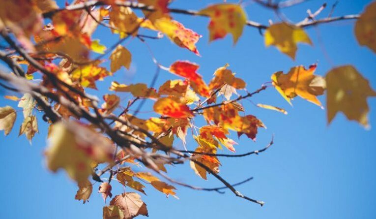 Данас топло и вјетровито, мјестимично киша