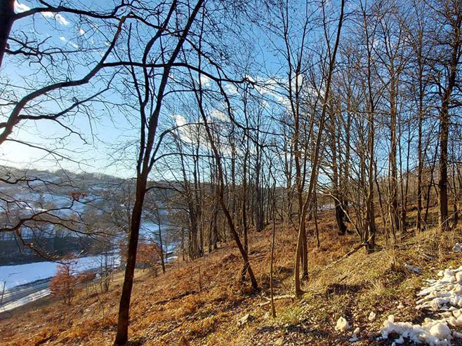 Данас сунчано и хладно