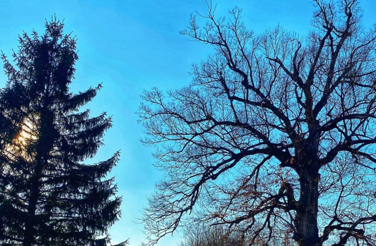 Данас претежно сунчано