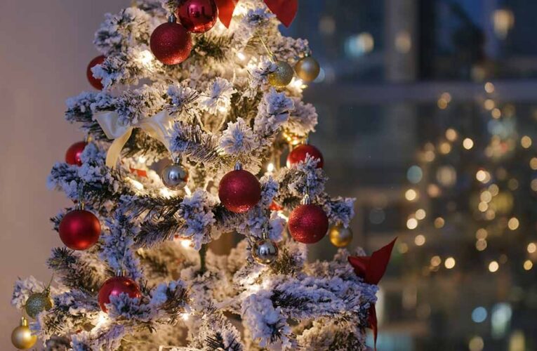 Гдје је најбоље мјесто за јелку у дому?